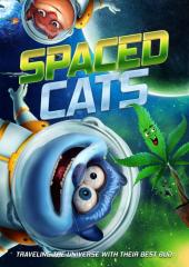 Spaced Cats