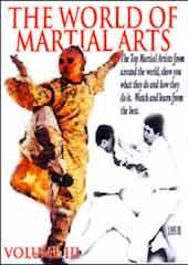 The World Of Martial Arts Part 3
