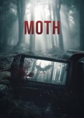 Moth