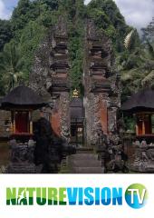 The Wonders of Bali