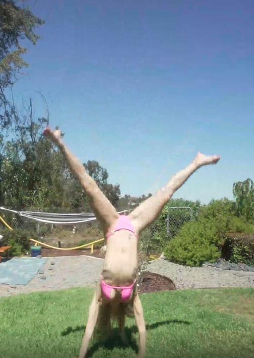 Bikini Gymnastics