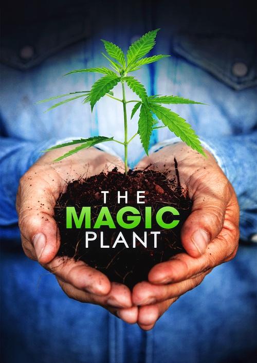 The Magic Plant