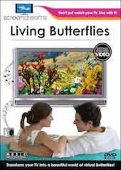 Living Butterflies