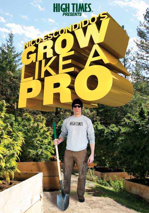 Grow Like A Pro