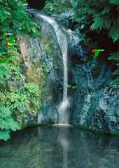 Waterfalls 3 - Living Waterfalls 03