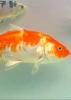 Living Aquarium Season 1 Episode 7 Living Aquarium Season 1 Episode 7