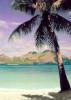 Living Beaches Season 1 Episode 3 Living Beaches Season 1 Episode 3