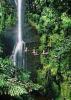 Living Waterfalls Season 1 Episode 2 Living Waterfalls Season 1 Episode 2